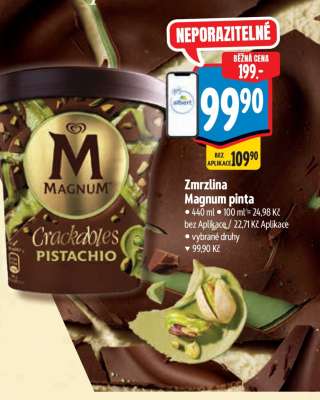 Zmrzlina Magnum Pinta
