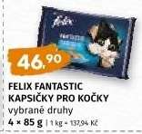 Felix Fantastic Kapsičky pro kočky