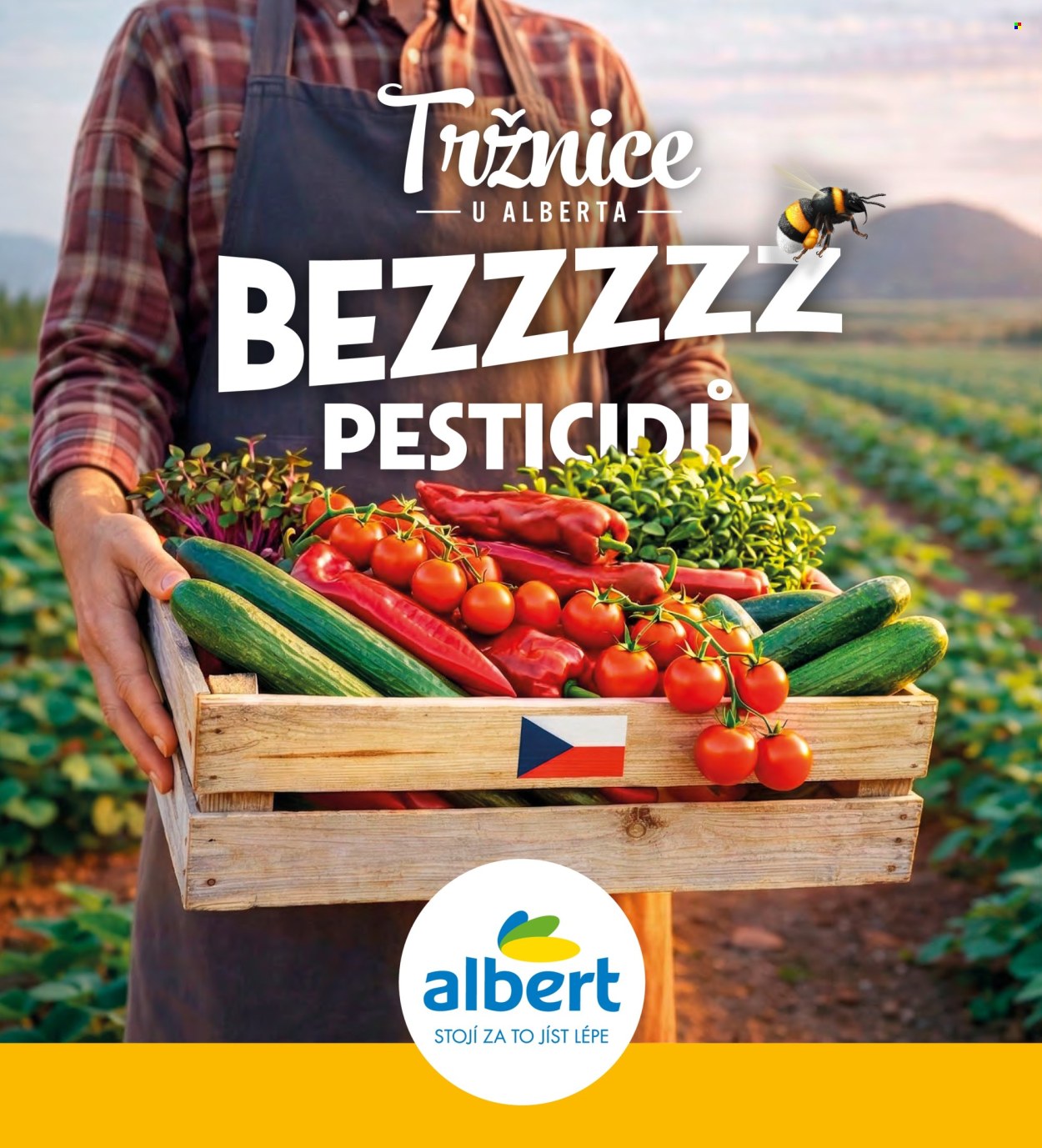 Leták Albert - 1.7.2026 - 1.9.2026. Strana 2