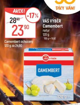 VÁŠ VÝBĚR Camembert natur