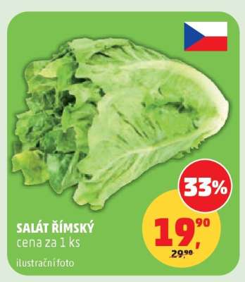 Salát římský