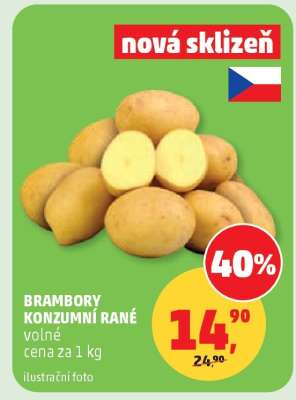 Brambory konzumní rané