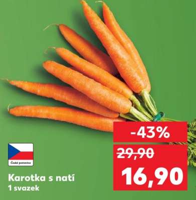 Karotka s natí