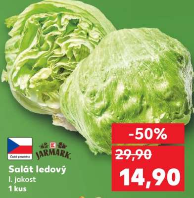 Salát ledový