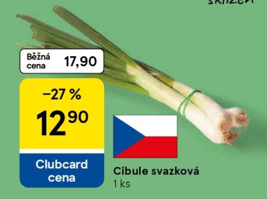 Cibule svazková