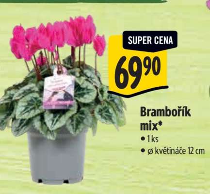 Brambořík mix*