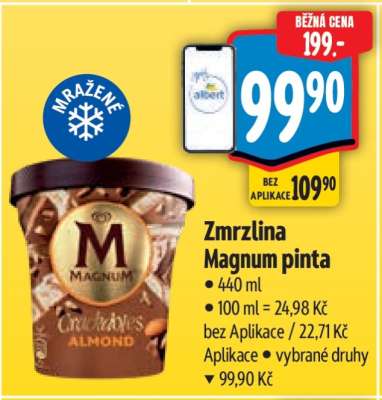 Zmrzlina Magnum Pinta