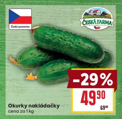 Okurky nakládačky