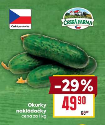 Okurky nakládačky