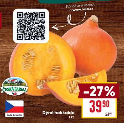 Dýně hokkaido