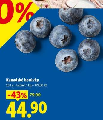 KANADSKÉ BORŮVKY