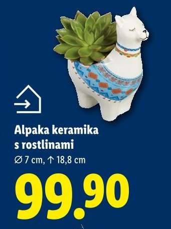 ALPAKA KERAMIKA S ROSTLINAMI