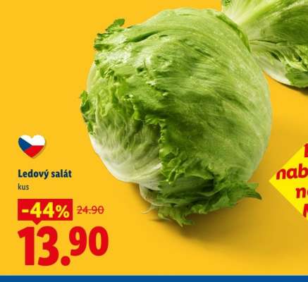 Ledový salát