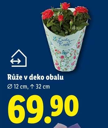 RŮŽE V DEKO OBALU
