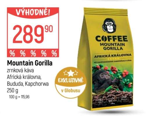 Mountain Gorilla