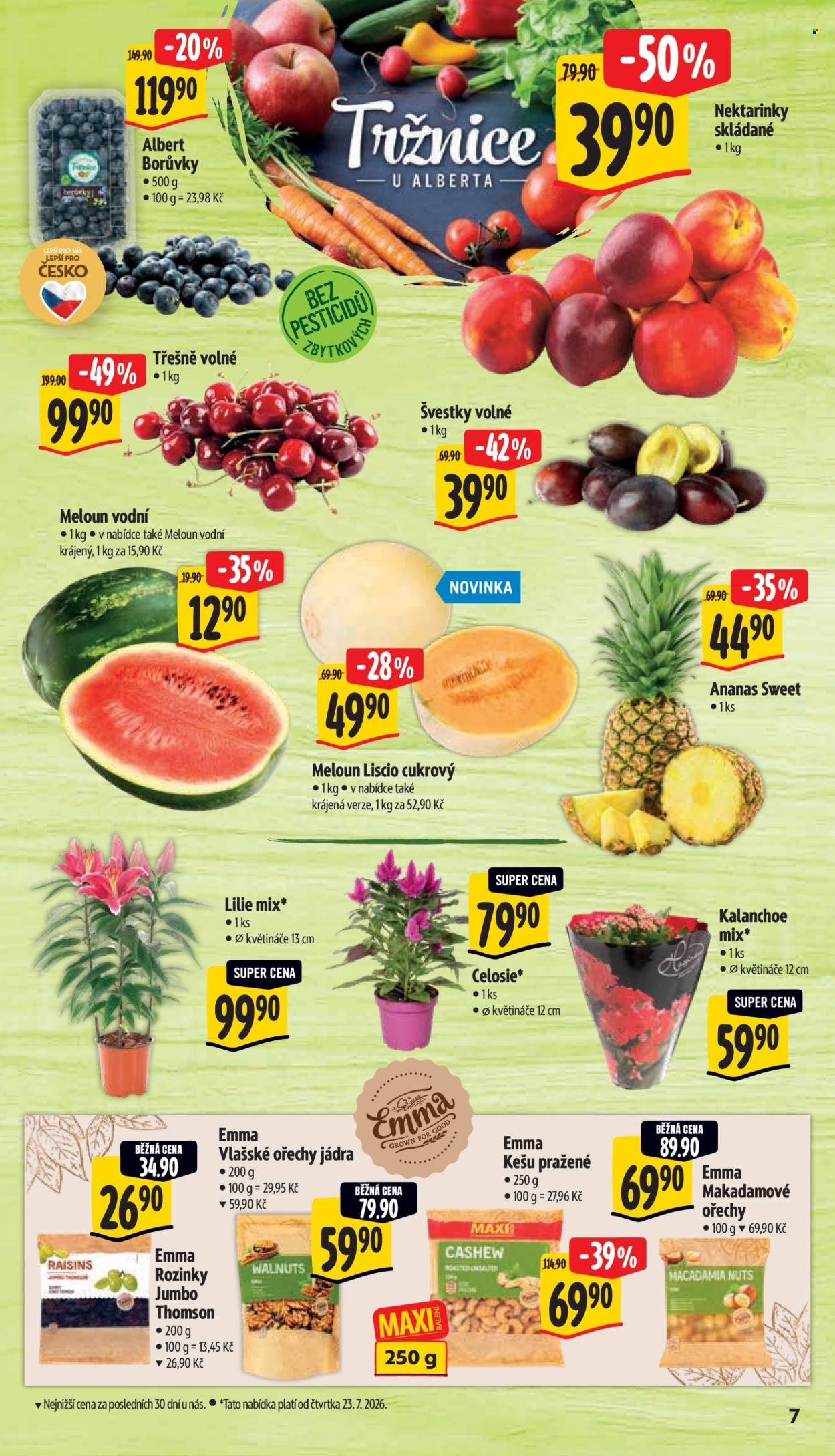 Leták Albert Hypermarket - 22.7.2026 - 28.7.2026. Strana 15