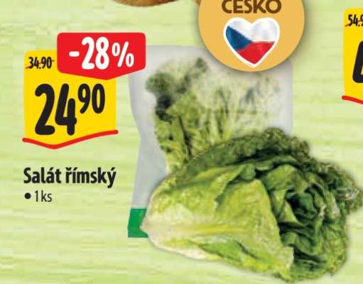 Salát římský