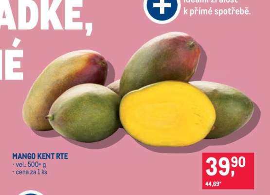 MANGO KENT RTE