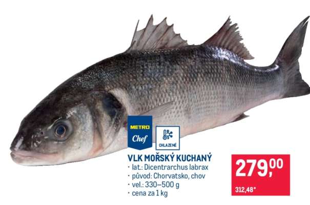 Vlk mořský kuchaný