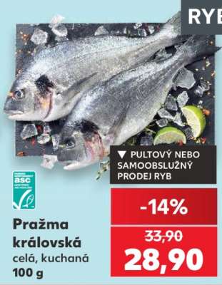Pražma královská