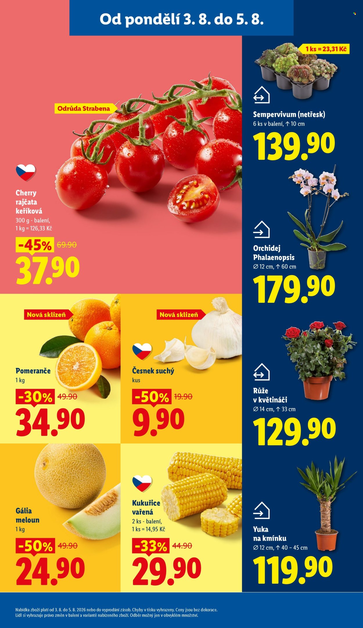 Leták Lidl - 3.8.2026 - 5.8.2026. Strana 13