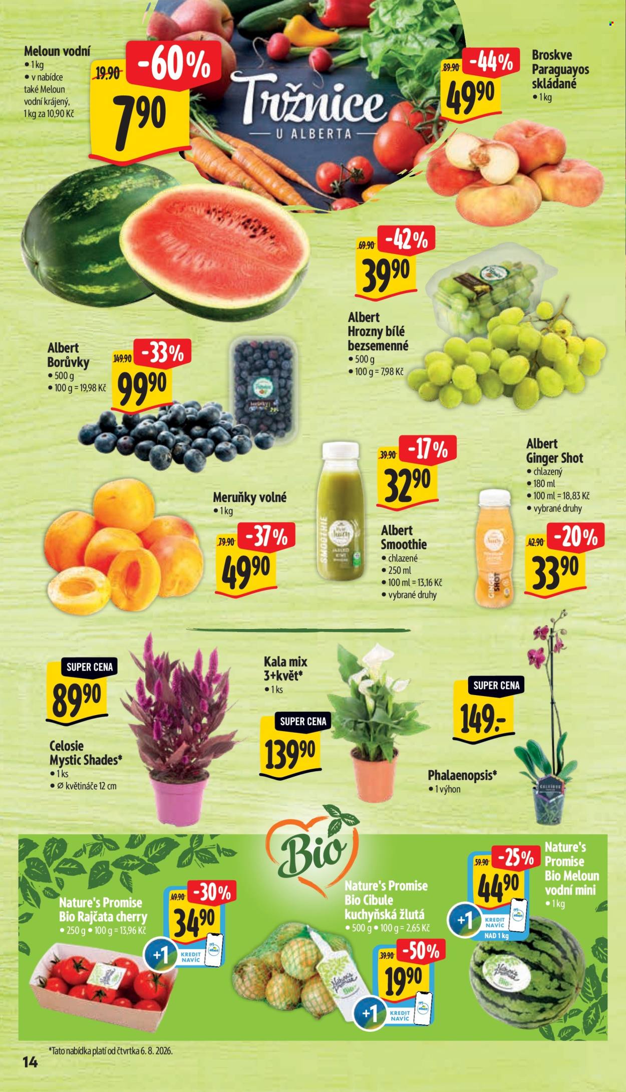 Leták Albert Hypermarket - 5.8.2026 - 11.8.2026. Strana 24