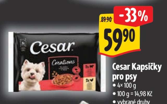 CESAR KAPSIČKY PRO PSY