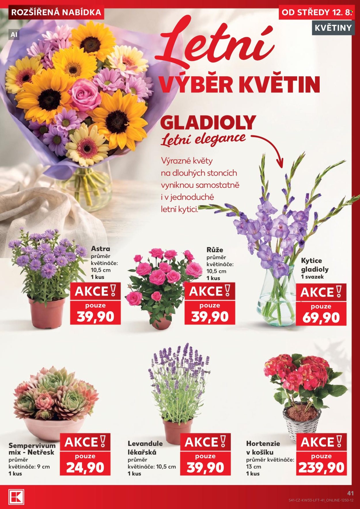 Leták Kaufland - 12.8.2026 - 18.8.2026. Strana 41