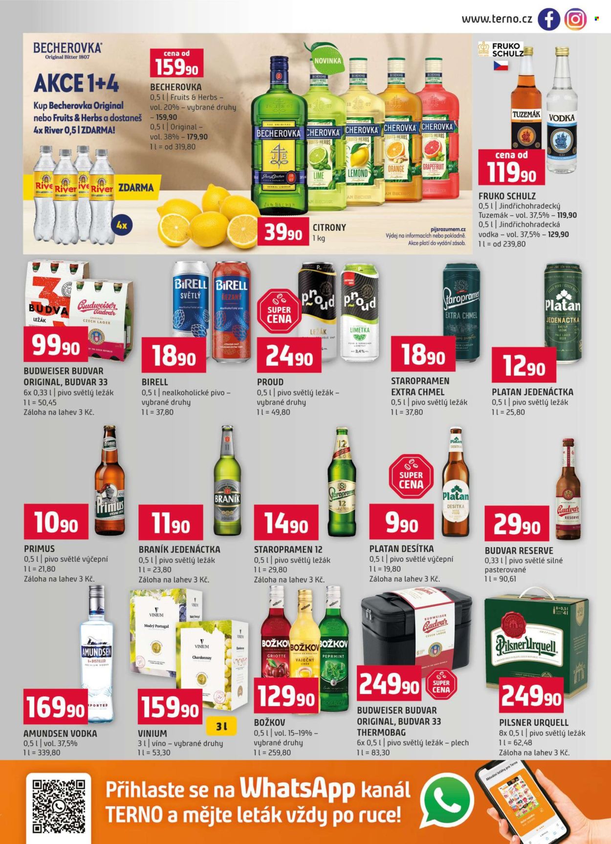 Leták coop TERNO - 12.8.2026 - 18.8.2026. Strana 13