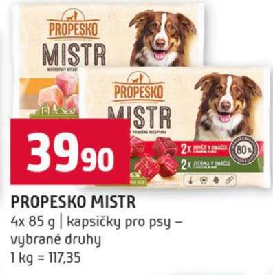 Propesko Mistr