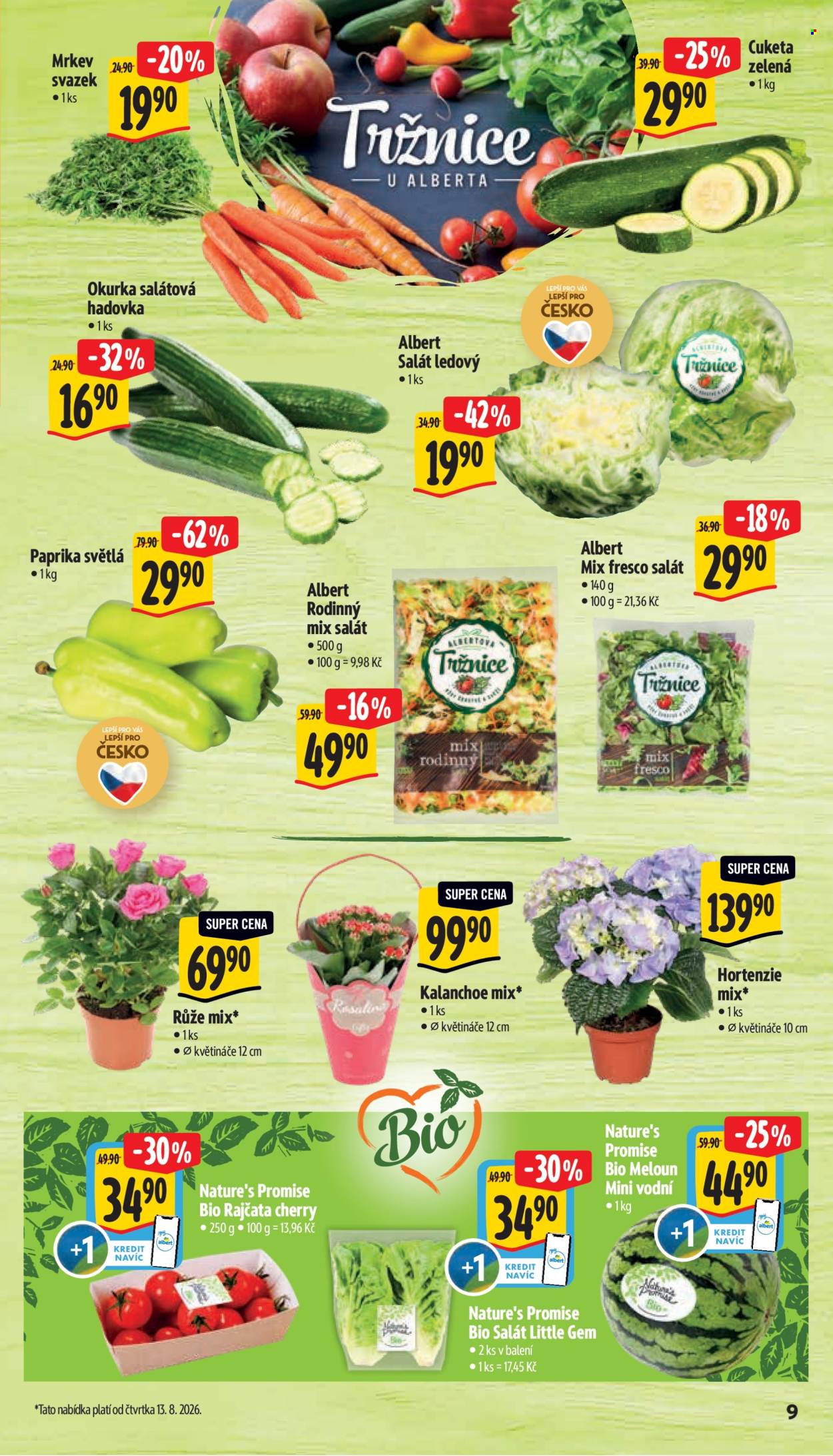 Leták Albert Supermarket - 12.8.2026 - 18.8.2026. Strana 15