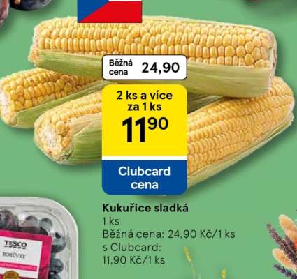Kukuřice sladká