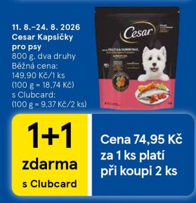 CESAR KAPSIČKY PRO PSY