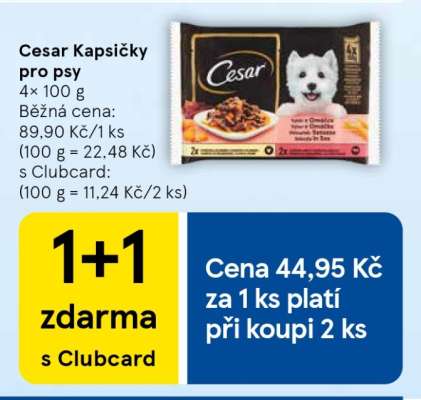 CESAR KAPSIČKY PRO PSY
