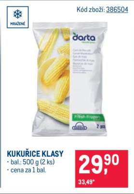 Kukuřice klasy