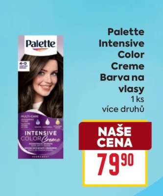 Palette Intensive Color Creme Barva na vlasy