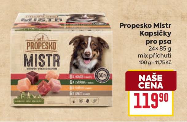 Propesko Mistr Kapsičky pro psa