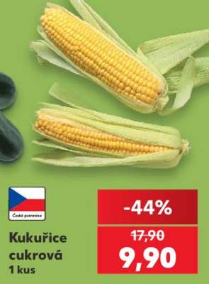 Kukuřice cukrová