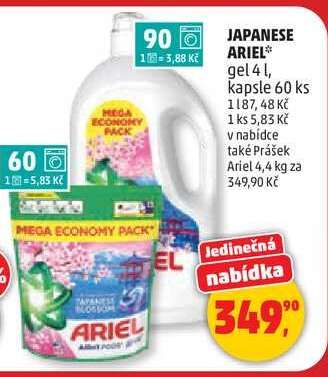 JAPANESE ARIEL