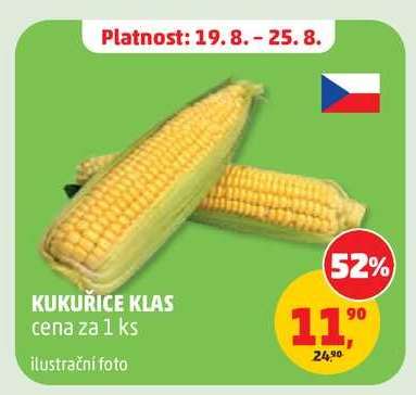 Kukuřice klas