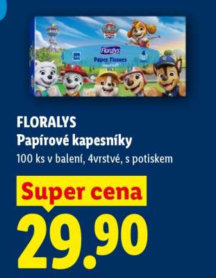FLORALYS PAPÍROVÉ KAPESNÍKY