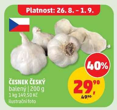 ČESNEK ČESKÝ