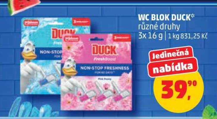 WC BLOK DUCK*