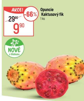 Opuncie Kaktusový fík