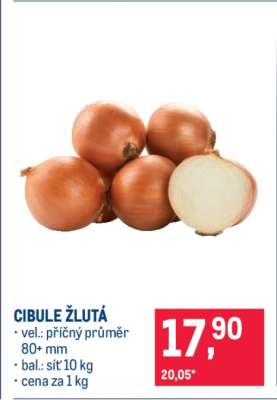 Cibule žlutá