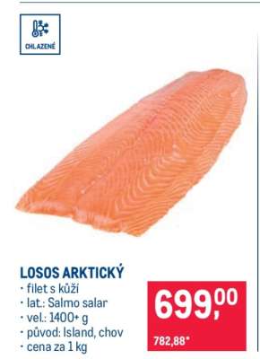 Losos arktický