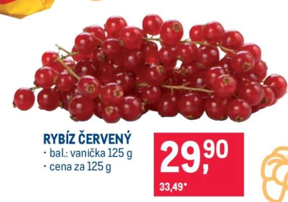 Rybíz červený