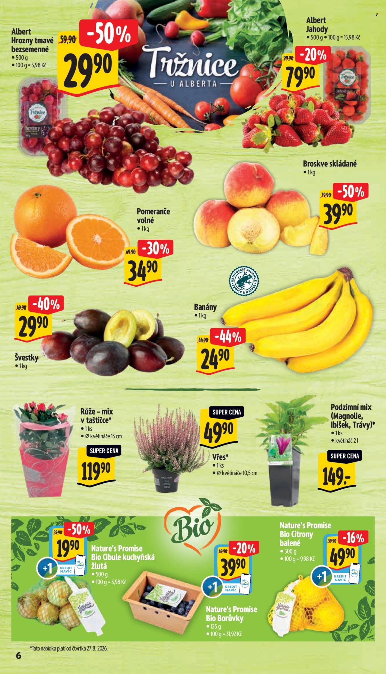Leták Albert Hypermarket - 26.8.2026 - 1.9.2026. Strana 14