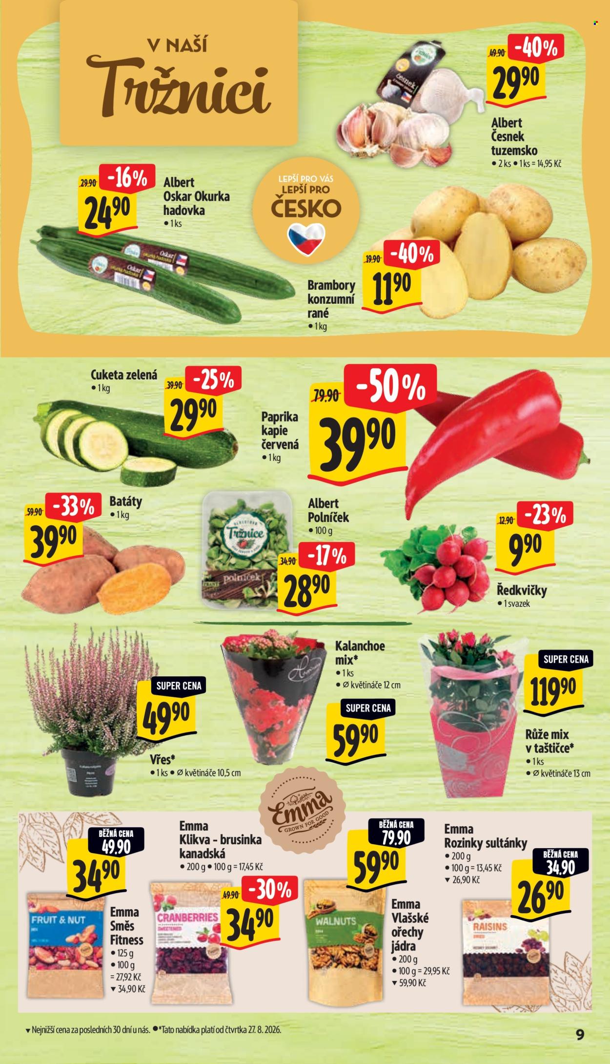 Leták Albert Supermarket - 26.8.2026 - 1.9.2026. Strana 15