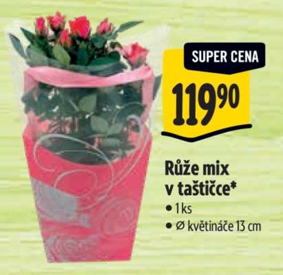 Růže mix v taštičce*